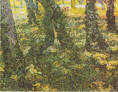 Sottobosco con edera da Vincent van Gogh